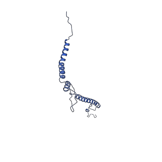 16518_8ca5_h_v1-2
Cryo-EM structure NDUFS4 knockout complex I from Mus musculus heart (Class 3).
