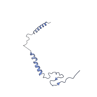 16518_8ca5_i_v1-2
Cryo-EM structure NDUFS4 knockout complex I from Mus musculus heart (Class 3).