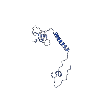 16518_8ca5_l_v1-2
Cryo-EM structure NDUFS4 knockout complex I from Mus musculus heart (Class 3).