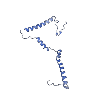 16518_8ca5_m_v1-2
Cryo-EM structure NDUFS4 knockout complex I from Mus musculus heart (Class 3).