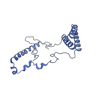 16518_8ca5_n_v1-2
Cryo-EM structure NDUFS4 knockout complex I from Mus musculus heart (Class 3).
