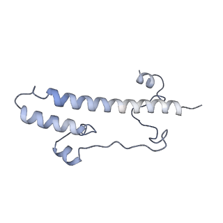 16518_8ca5_o_v1-2
Cryo-EM structure NDUFS4 knockout complex I from Mus musculus heart (Class 3).