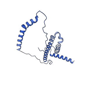 16518_8ca5_p_v1-2
Cryo-EM structure NDUFS4 knockout complex I from Mus musculus heart (Class 3).