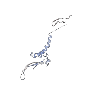 16518_8ca5_t_v1-2
Cryo-EM structure NDUFS4 knockout complex I from Mus musculus heart (Class 3).