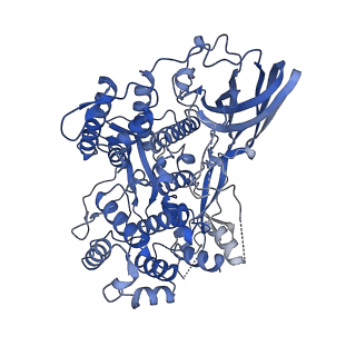 16524_8cad_A_v1-0
Cryo-EM structure of the Ceres homohexamer from Galleria mellonella saliva