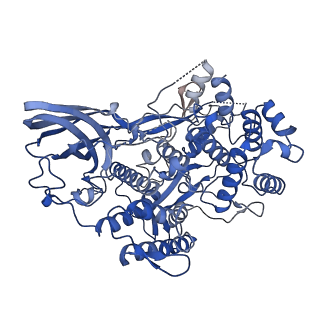 16524_8cad_B_v1-0
Cryo-EM structure of the Ceres homohexamer from Galleria mellonella saliva
