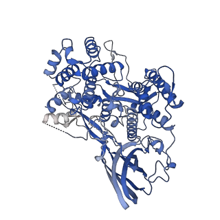 16524_8cad_C_v1-0
Cryo-EM structure of the Ceres homohexamer from Galleria mellonella saliva