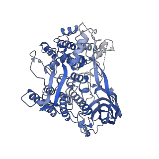 16524_8cad_D_v1-0
Cryo-EM structure of the Ceres homohexamer from Galleria mellonella saliva
