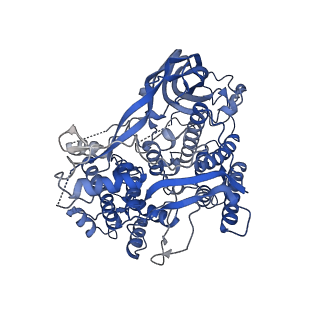 16524_8cad_F_v1-0
Cryo-EM structure of the Ceres homohexamer from Galleria mellonella saliva