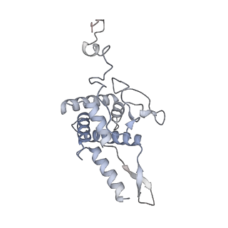 16525_8cah_B_v1-0
Cryo-EM structure of native Otu2-bound ubiquitinated 43S pre-initiation complex