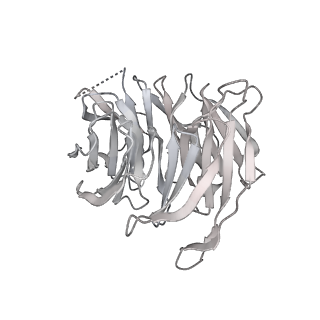 16533_8cas_l_v1-0
Cryo-EM structure of native Otu2-bound ubiquitinated 48S initiation complex (partial)