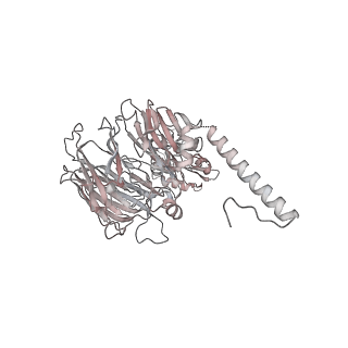 16533_8cas_p_v1-0
Cryo-EM structure of native Otu2-bound ubiquitinated 48S initiation complex (partial)
