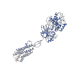 30323_7ca3_A_v1-0
Cryo-EM structure of human GABA(B) receptor bound to the positive allosteric modulator rac-BHFF