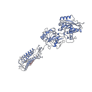 30323_7ca3_B_v1-0
Cryo-EM structure of human GABA(B) receptor bound to the positive allosteric modulator rac-BHFF