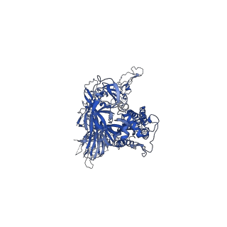 30325_7cab_A_v1-1
Structural basis for neutralization of SARS-CoV-2 and SARS-CoV by a potent therapeutic antibody