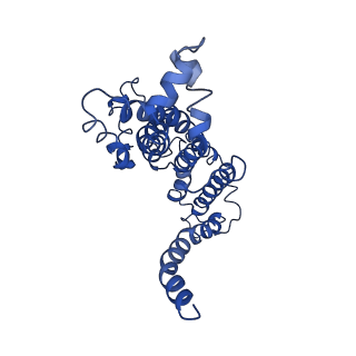 30328_7cae_A_v1-1
Mycobacterium smegmatis LpqY-SugABC complex in the resting state