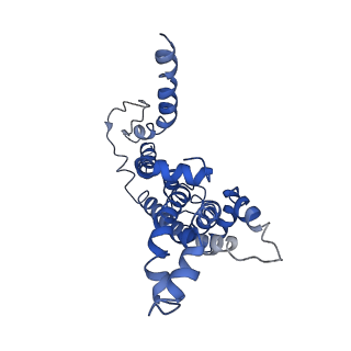 30328_7cae_B_v1-1
Mycobacterium smegmatis LpqY-SugABC complex in the resting state