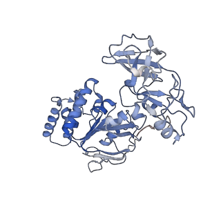 30328_7cae_C_v1-1
Mycobacterium smegmatis LpqY-SugABC complex in the resting state