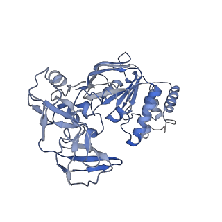 30328_7cae_D_v1-0
Mycobacterium smegmatis LpqY-SugABC complex in the resting state