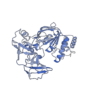 30328_7cae_D_v1-1
Mycobacterium smegmatis LpqY-SugABC complex in the resting state