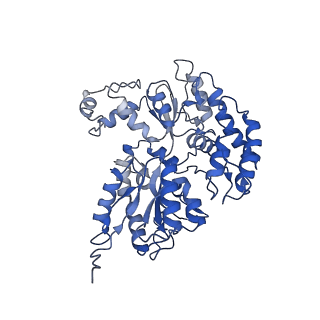 30328_7cae_E_v1-1
Mycobacterium smegmatis LpqY-SugABC complex in the resting state