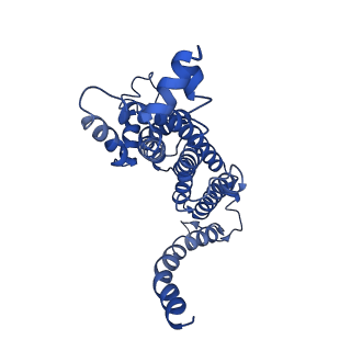 30329_7caf_A_v1-1
Mycobacterium smegmatis LpqY-SugABC complex in the pre-translocation state