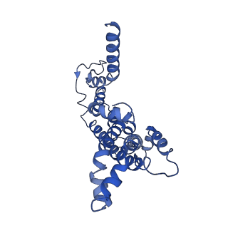 30329_7caf_B_v1-1
Mycobacterium smegmatis LpqY-SugABC complex in the pre-translocation state