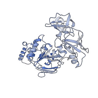 30329_7caf_C_v1-1
Mycobacterium smegmatis LpqY-SugABC complex in the pre-translocation state