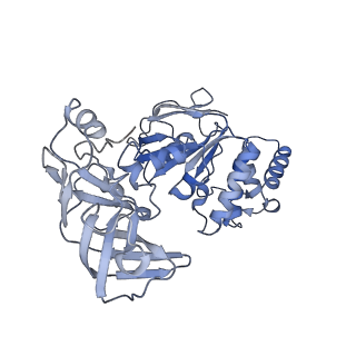 30329_7caf_D_v1-1
Mycobacterium smegmatis LpqY-SugABC complex in the pre-translocation state