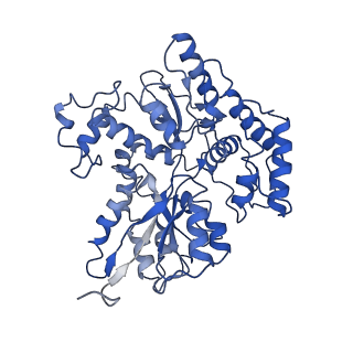 30329_7caf_E_v1-1
Mycobacterium smegmatis LpqY-SugABC complex in the pre-translocation state