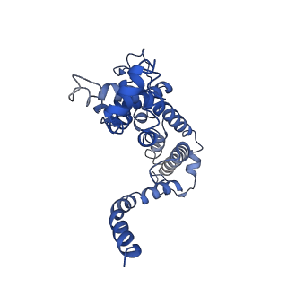 30330_7cag_A_v1-0
Mycobacterium smegmatis LpqY-SugABC complex in the catalytic intermediate state