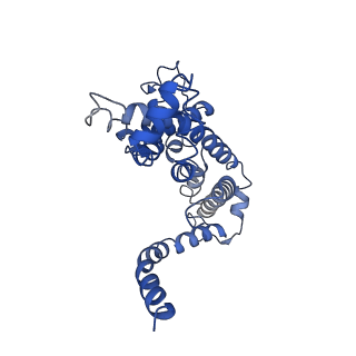 30330_7cag_A_v1-1
Mycobacterium smegmatis LpqY-SugABC complex in the catalytic intermediate state