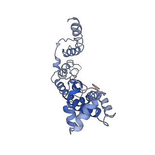 30330_7cag_B_v1-0
Mycobacterium smegmatis LpqY-SugABC complex in the catalytic intermediate state