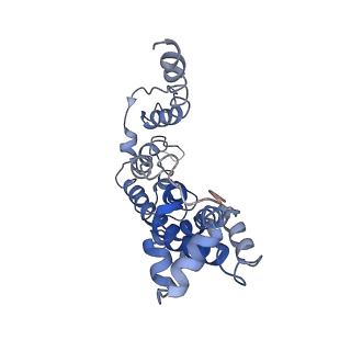 30330_7cag_B_v1-1
Mycobacterium smegmatis LpqY-SugABC complex in the catalytic intermediate state