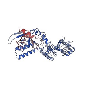 30334_7cal_A_v1-2
Cryo-EM Structure of the Hyperpolarization-Activated Inwardly Rectifying Potassium Channel KAT1 from Arabidopsis