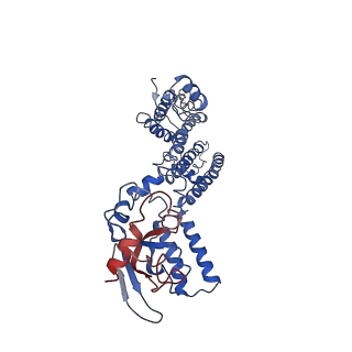 30334_7cal_D_v1-2
Cryo-EM Structure of the Hyperpolarization-Activated Inwardly Rectifying Potassium Channel KAT1 from Arabidopsis