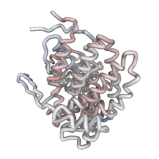 5001_3cau_B_v1-3
D7 symmetrized structure of unliganded GroEL at 4.2 Angstrom resolution by cryoEM