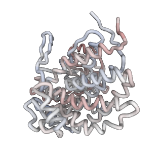 5001_3cau_C_v1-2
D7 symmetrized structure of unliganded GroEL at 4.2 Angstrom resolution by cryoEM