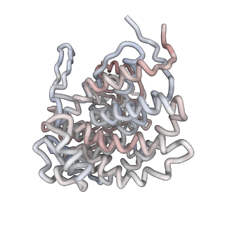 5001_3cau_C_v1-3
D7 symmetrized structure of unliganded GroEL at 4.2 Angstrom resolution by cryoEM