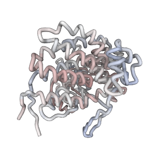 5001_3cau_G_v1-3
D7 symmetrized structure of unliganded GroEL at 4.2 Angstrom resolution by cryoEM