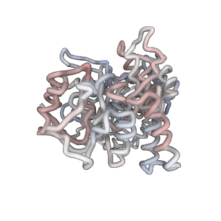 5001_3cau_H_v1-2
D7 symmetrized structure of unliganded GroEL at 4.2 Angstrom resolution by cryoEM