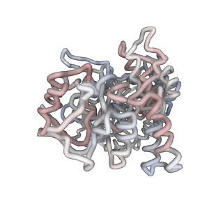 5001_3cau_H_v1-3
D7 symmetrized structure of unliganded GroEL at 4.2 Angstrom resolution by cryoEM