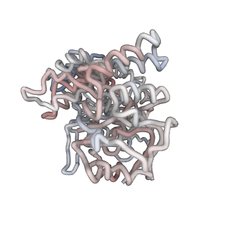 5001_3cau_J_v1-2
D7 symmetrized structure of unliganded GroEL at 4.2 Angstrom resolution by cryoEM