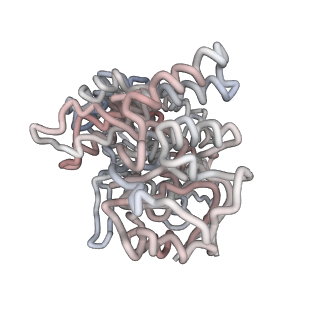 5001_3cau_J_v1-3
D7 symmetrized structure of unliganded GroEL at 4.2 Angstrom resolution by cryoEM