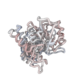 5001_3cau_L_v1-2
D7 symmetrized structure of unliganded GroEL at 4.2 Angstrom resolution by cryoEM
