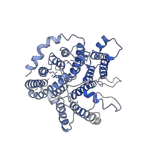 7441_6caa_A_v1-4
CryoEM structure of human SLC4A4 sodium-coupled acid-base transporter NBCe1