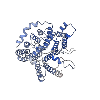 7441_6caa_A_v1-5
CryoEM structure of human SLC4A4 sodium-coupled acid-base transporter NBCe1