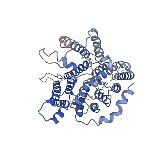 7441_6caa_B_v1-4
CryoEM structure of human SLC4A4 sodium-coupled acid-base transporter NBCe1