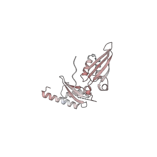 16541_8cbj_D_v1-0
Cryo-EM structure of Otu2-bound cytoplasmic pre-40S ribosome biogenesis complex