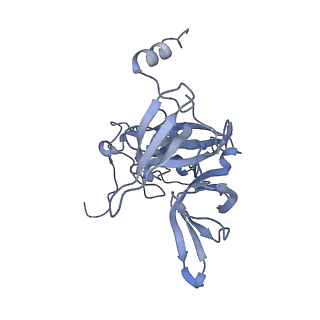 16541_8cbj_E_v1-0
Cryo-EM structure of Otu2-bound cytoplasmic pre-40S ribosome biogenesis complex